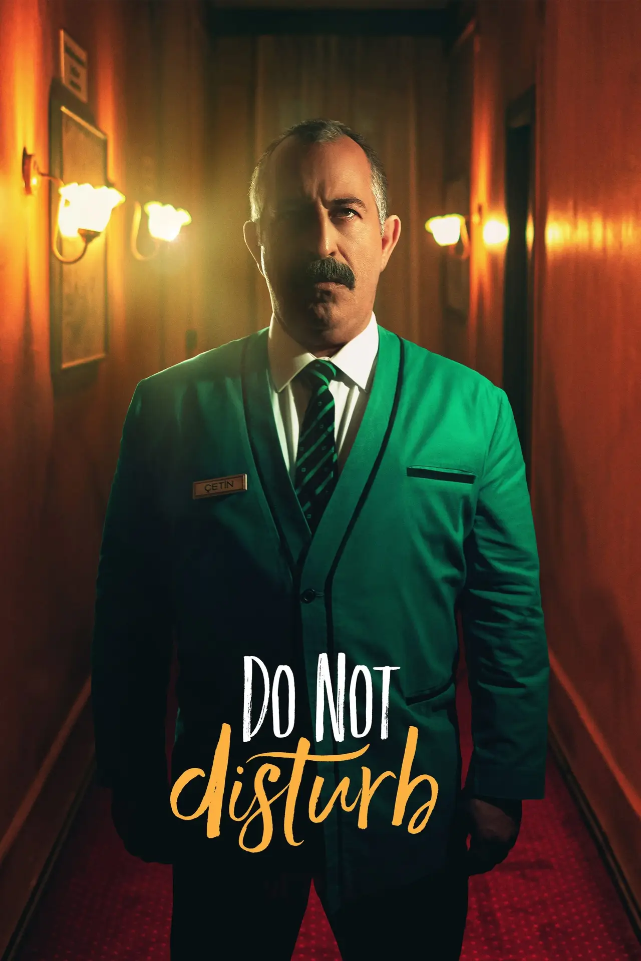 Movie poster "Do Not Disturb"