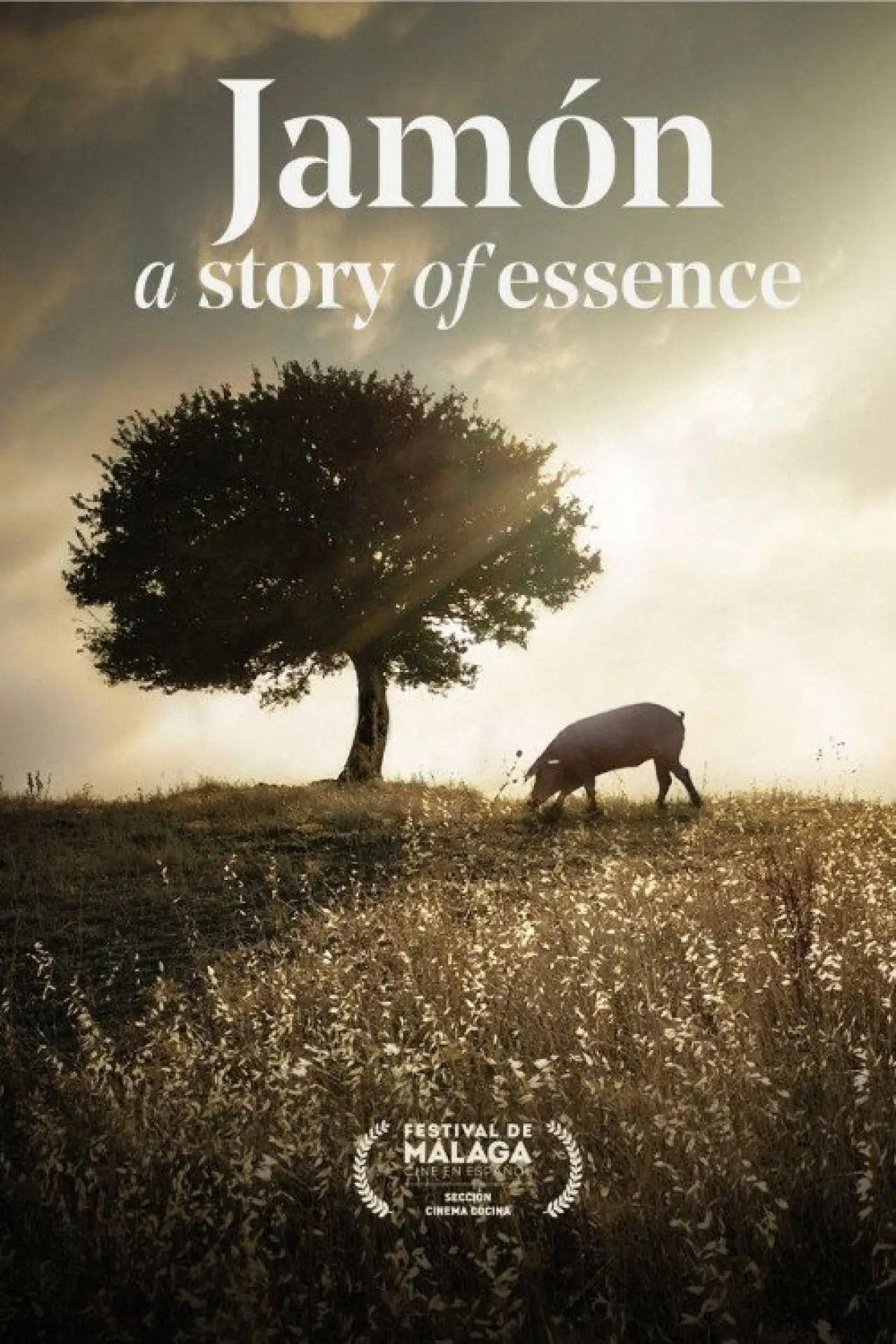 Movie poster "Jamón, a Story of Essence"