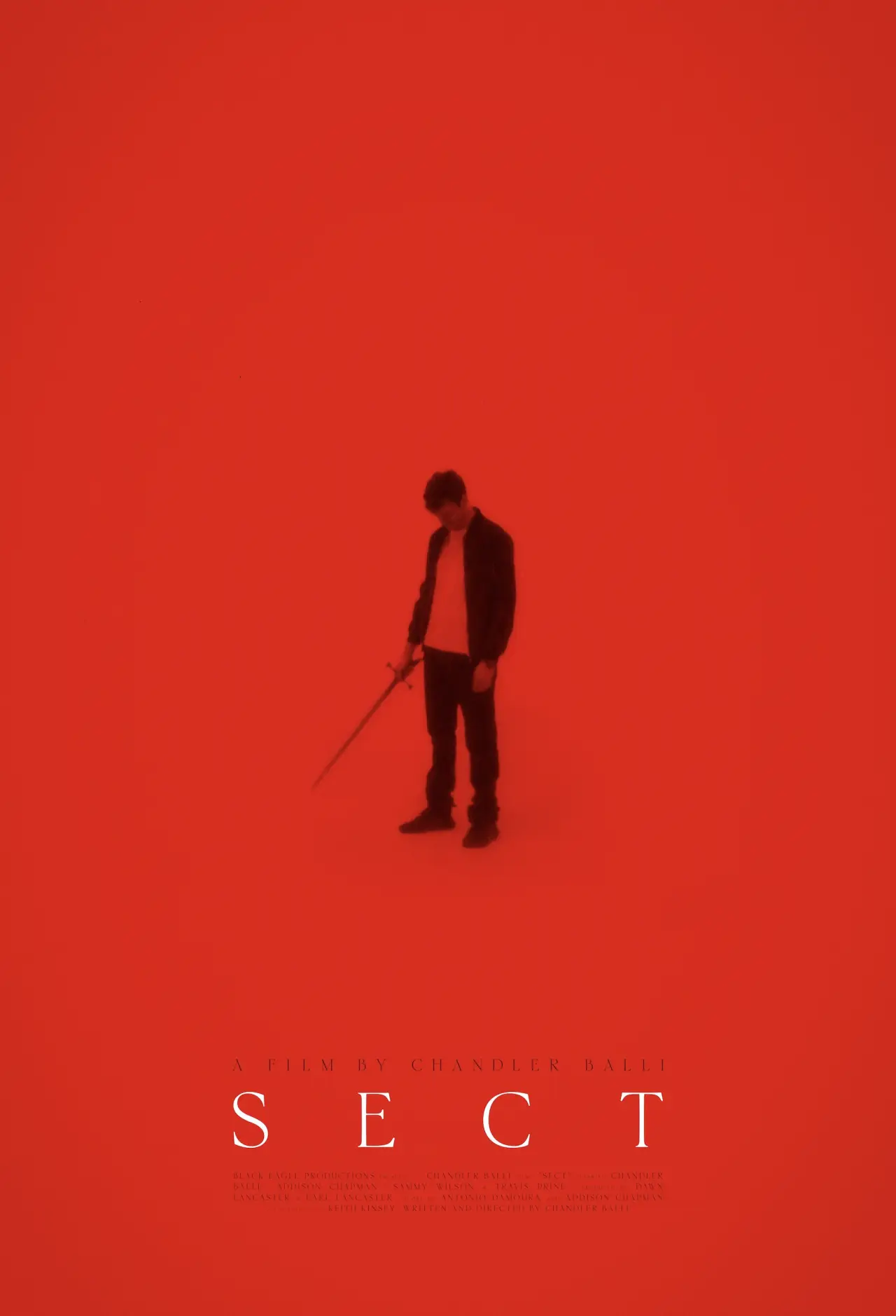 Movie poster "SECT"