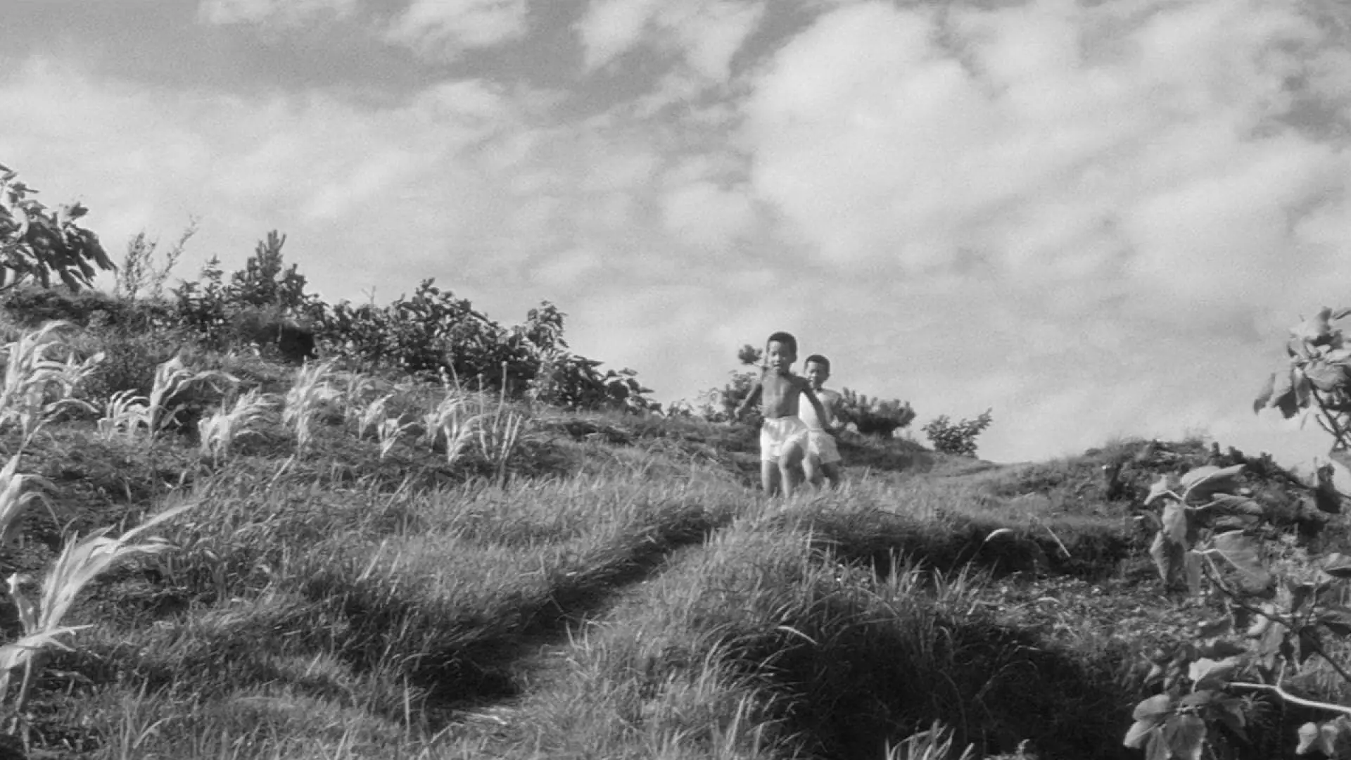 Watch film The Naked Island | The Naked Island (1960) ORIGINAL TRAILER [HD 1080p]