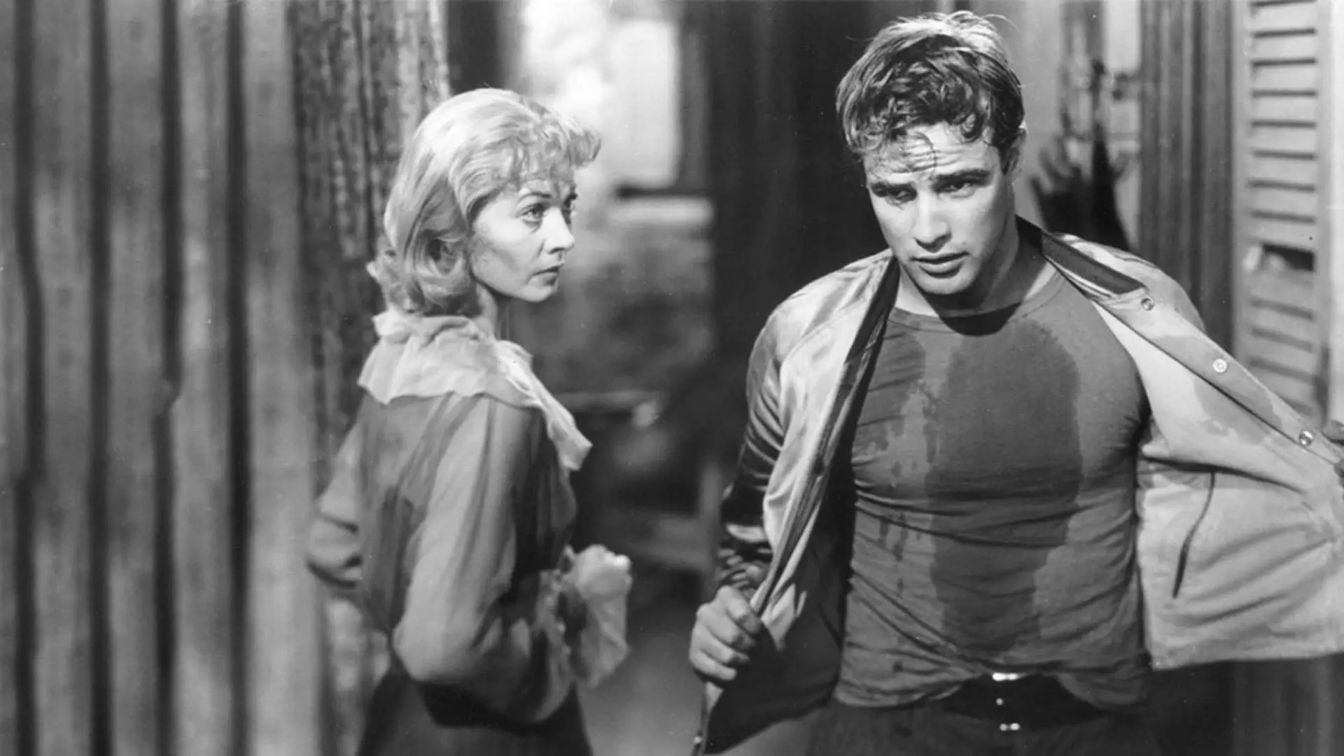 Watch film A Streetcar Named Desire | New trailer for A Streetcar Named Desire - back in cinemas 7 February | BFI