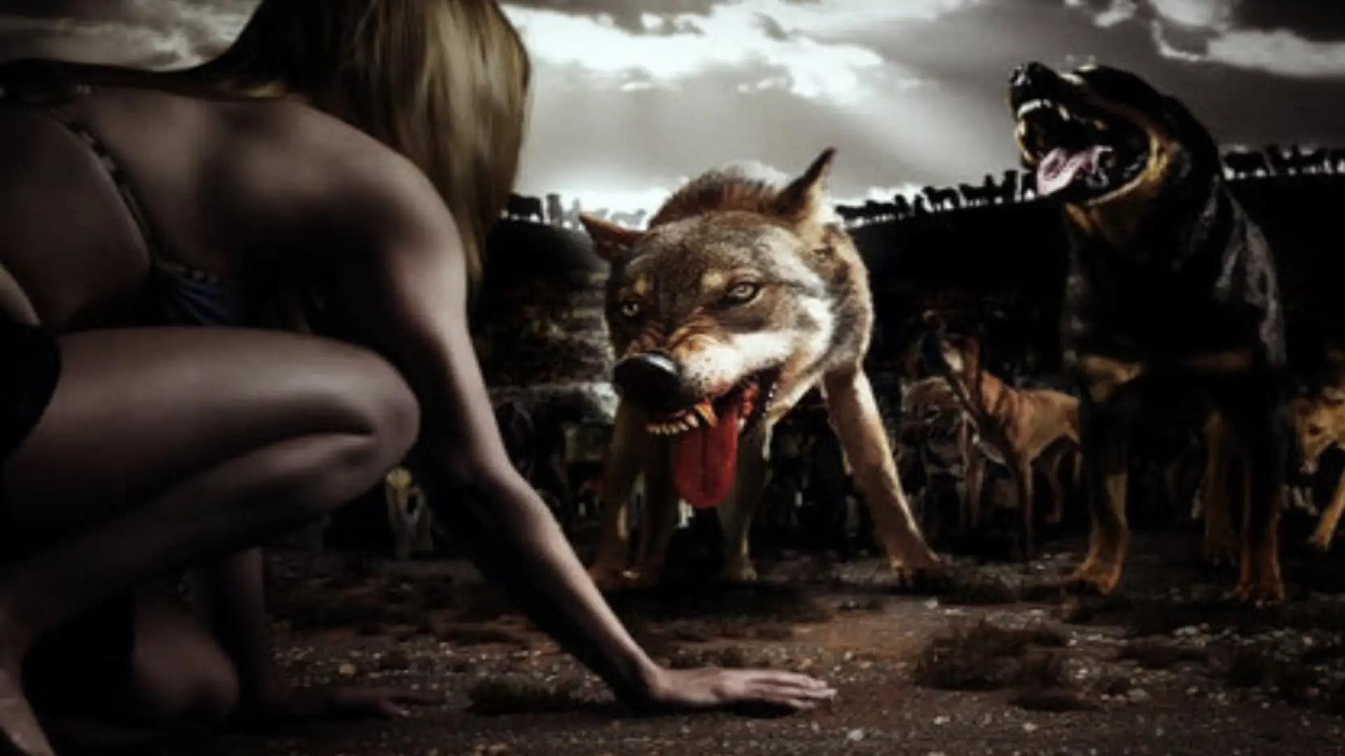 Watch film The Breed — The Breed (2006) Original Trailer [FHD]