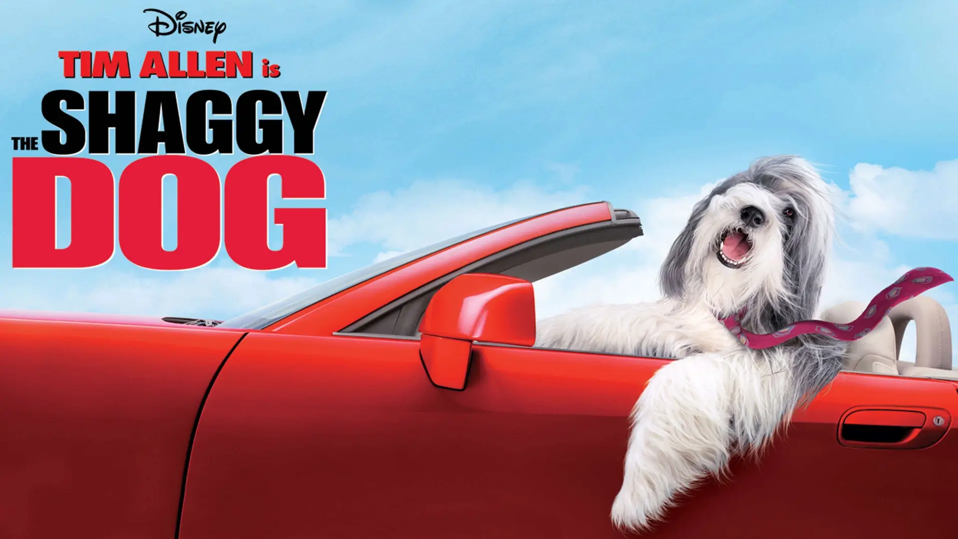 Watch film The Shaggy Dog — The Shaggy Dog (2006) Trailer #1 - Tim Allen Movie HD