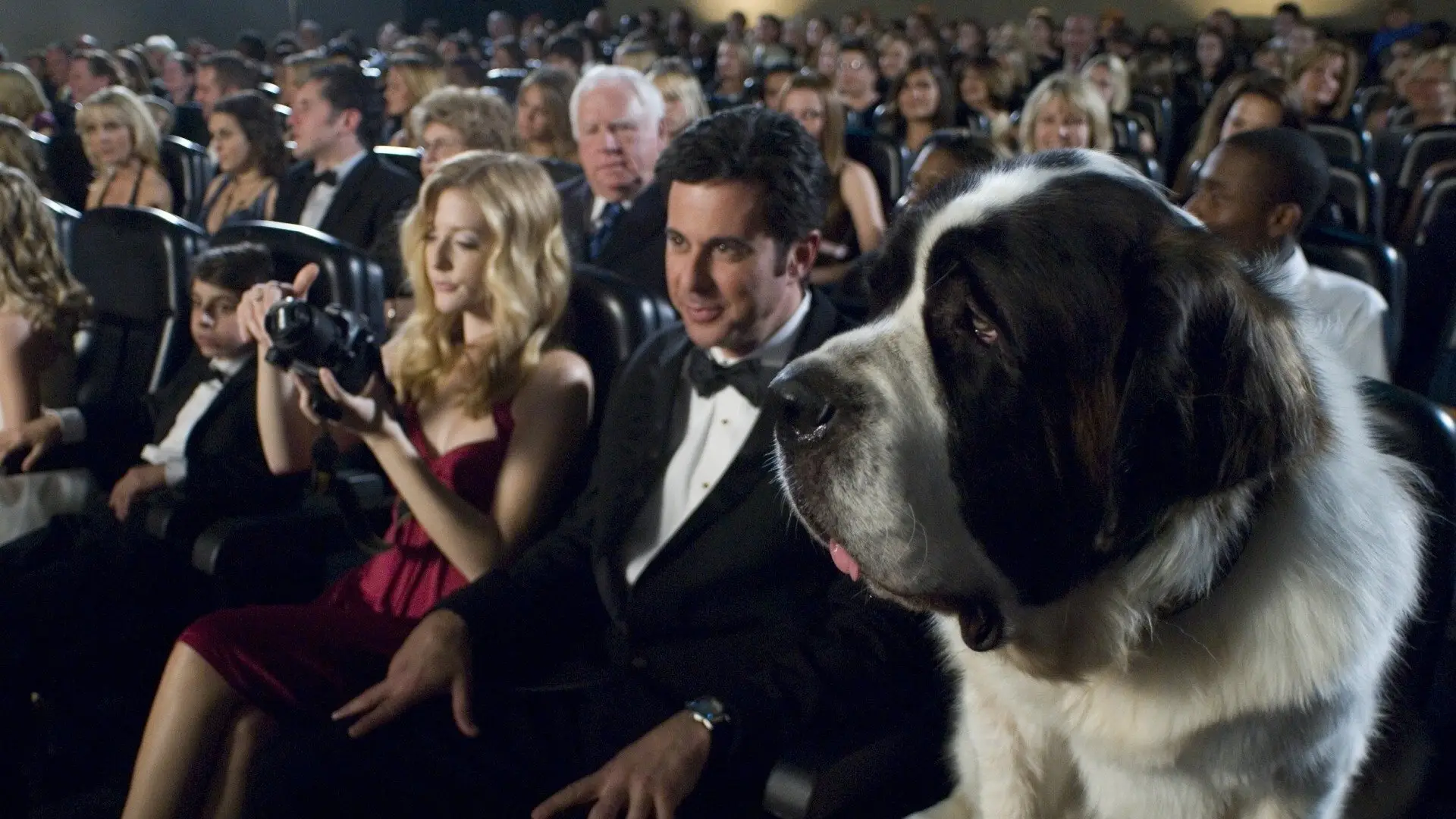 Watch film Beethoven's Big Break — Beethoven's Big Break - Trailer