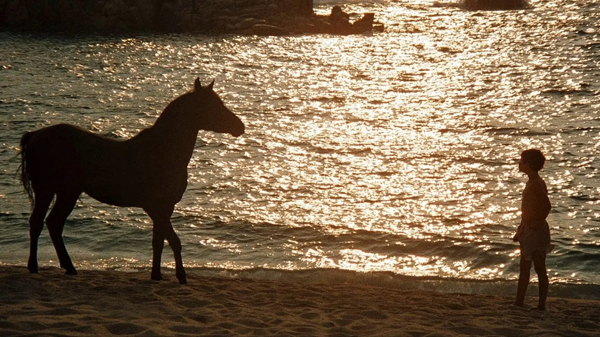 Watch film The Black Stallion | Caleb Deschanel on Making The Black Stallion | AFI Movie Club