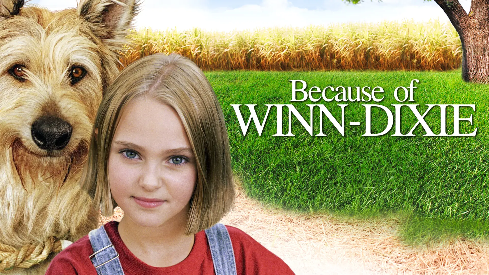 Watch film Because of Winn-Dixie — Because Of Winn Dixie Trailer HD