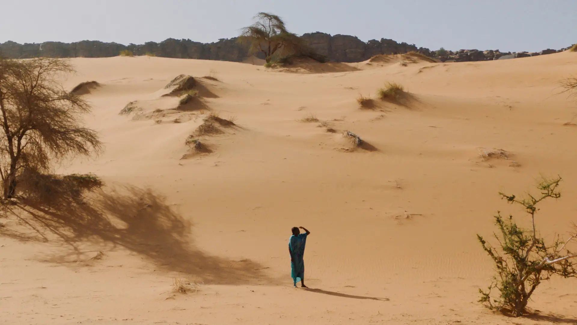 Watch film Sira | Sira &ndash; Trailer &ndash; SFF 23