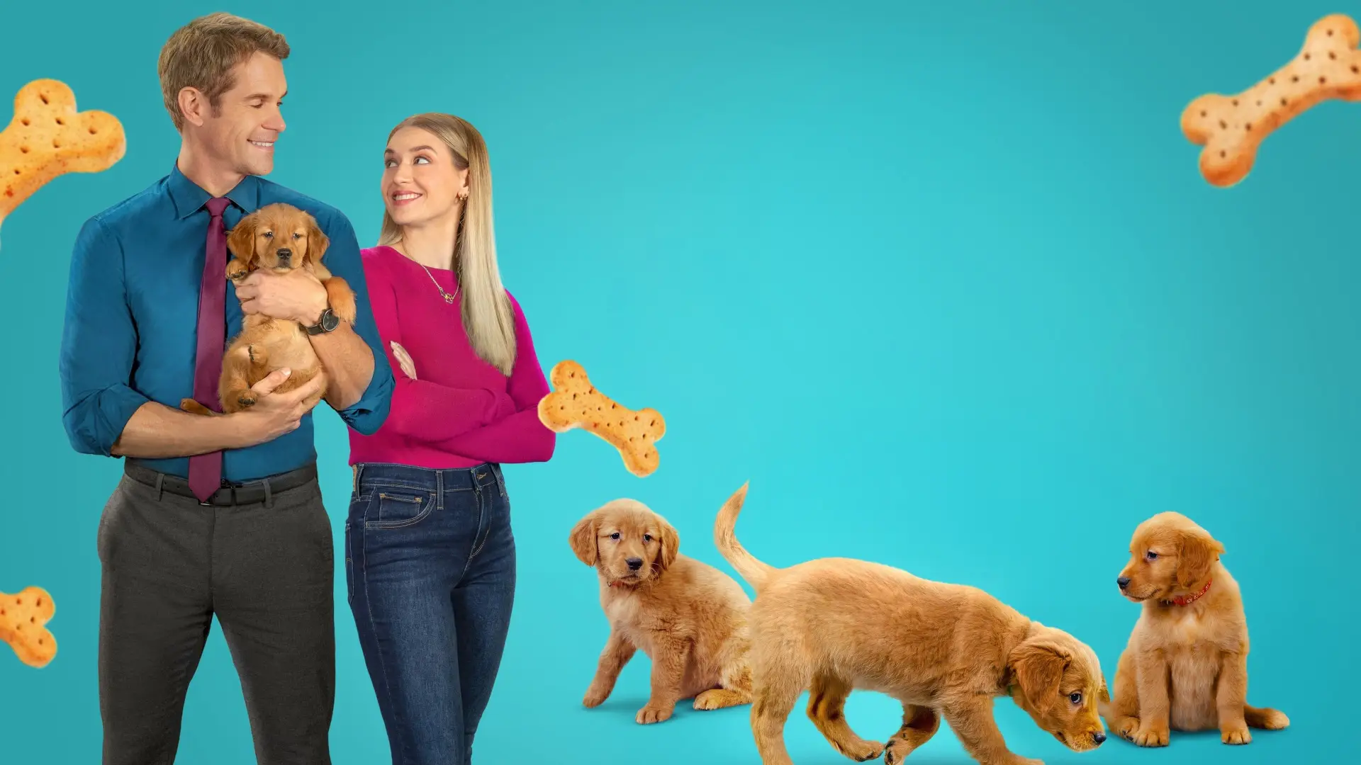 Watch film Everything Puppies | Preview