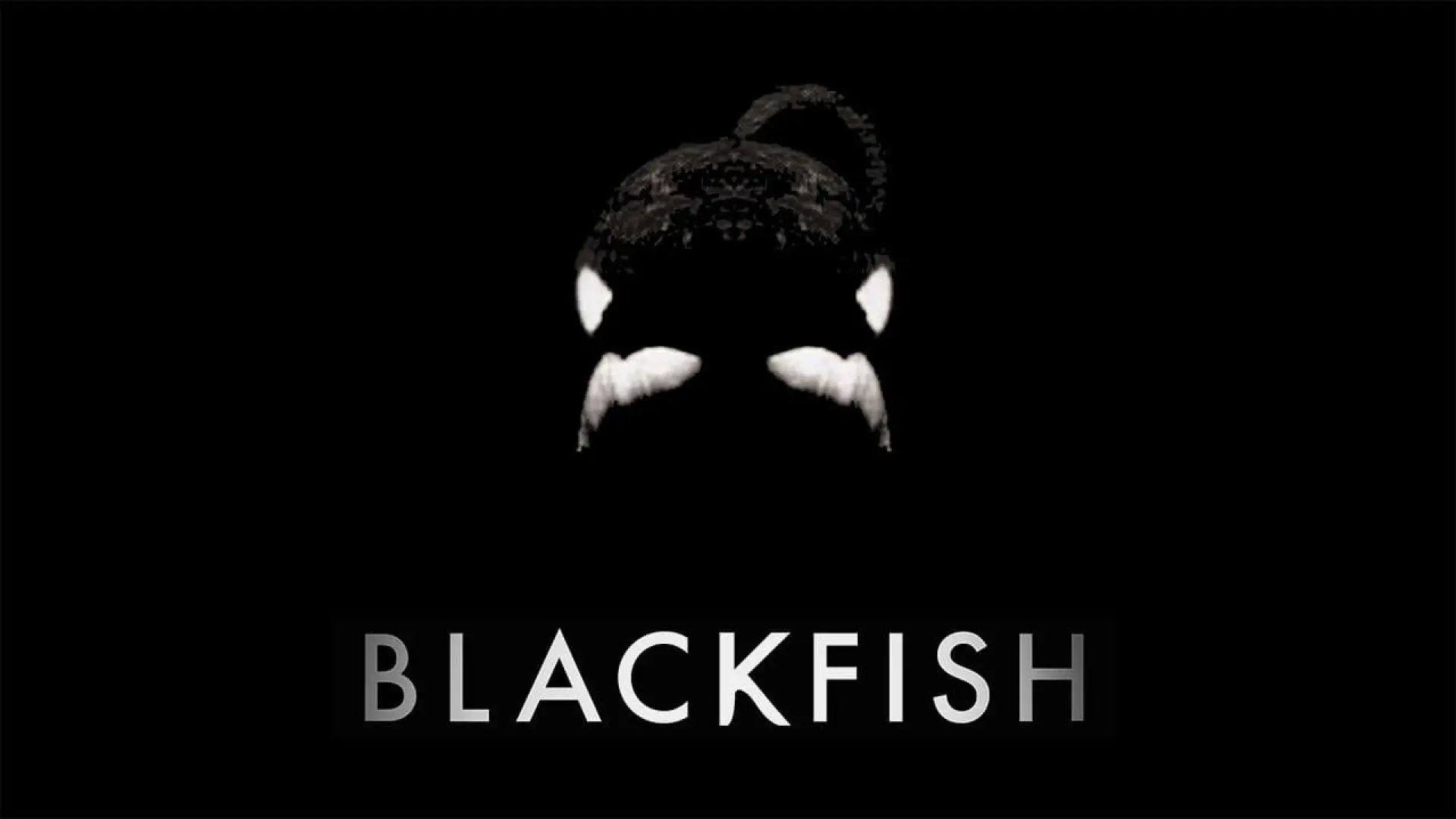 Watch film Blackfish — Blackfish - Official Trailer