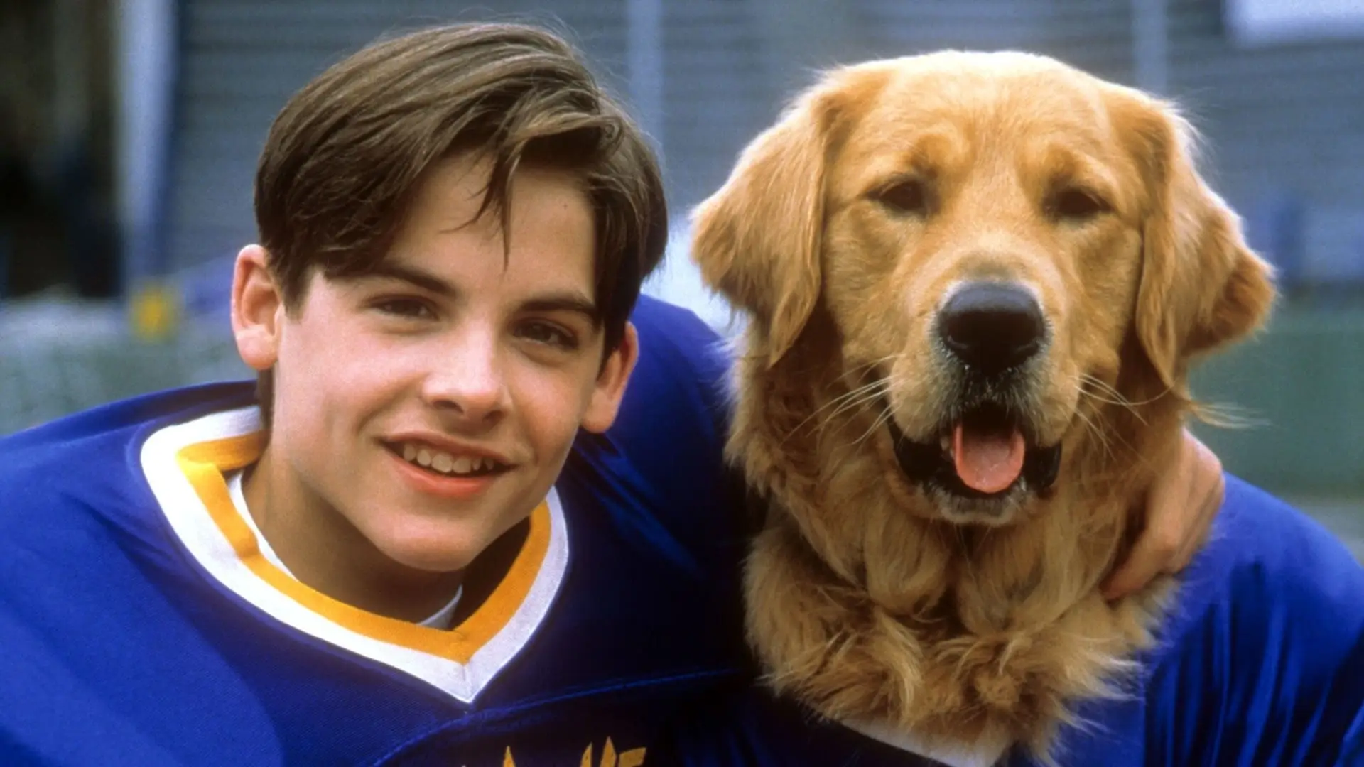 Watch film Air Bud: Golden Receiver | Air Bud Golden Receiver (1998) Theatrical Trailer [4K] [5.1] [FTD-1022]