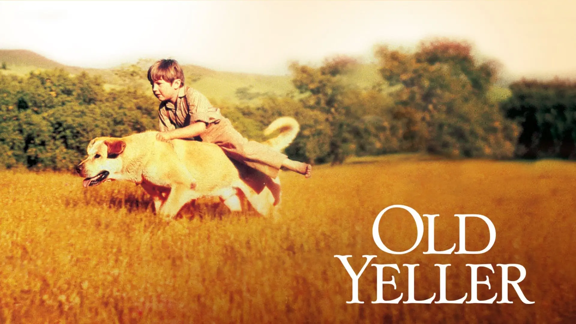 Watch film Old Yeller | OLD YELLER 40th ANNIVERSARY MOVIE TRAILER [VHS] 1997