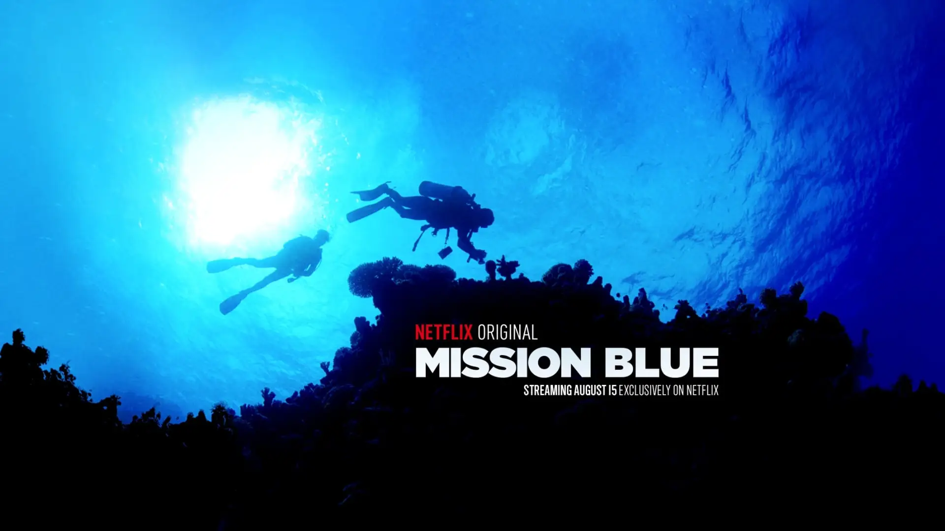 Watch film Mission Blue | Mission Blue | Official Trailer [HD] | Netflix