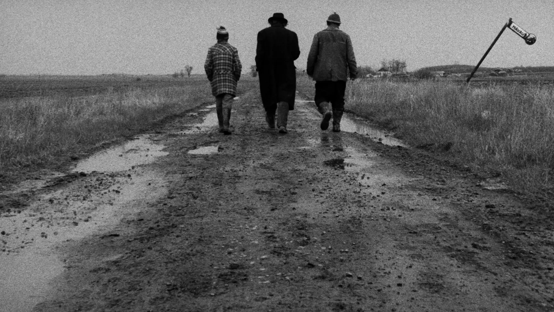 Watch film Satantango | S&Aacute;T&Aacute;NTANG&Oacute; Trailer [1994] 4K