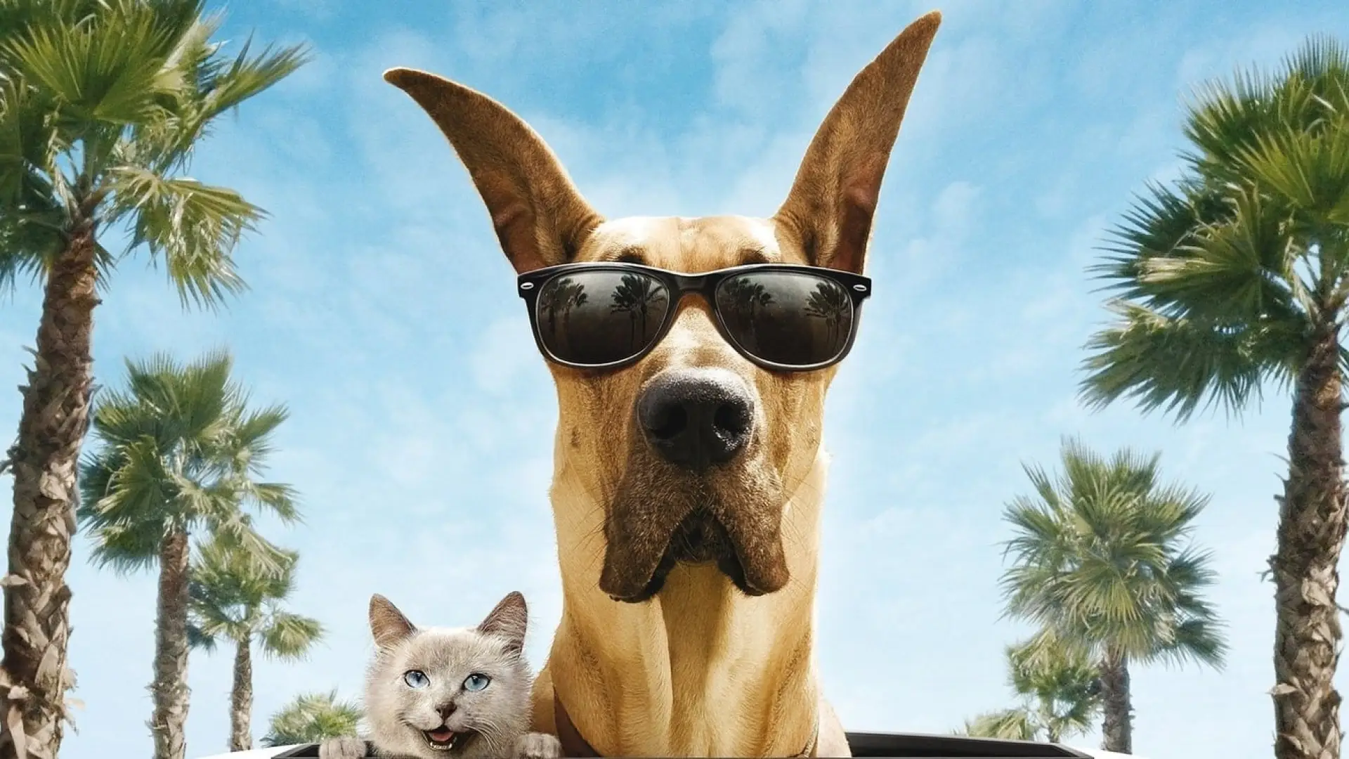 Watch film Marmaduke | Marmaduke - In Theaters June 4! | Official Trailer (HD)  | 20th Century FOX
