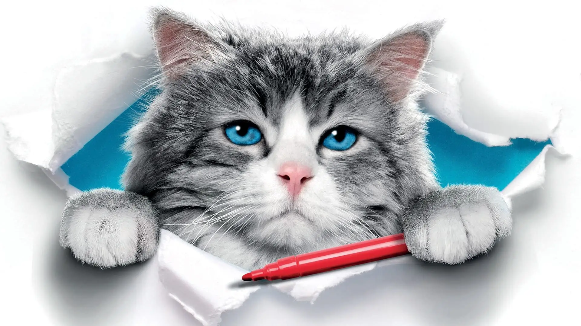 Watch film Nine Lives | Official Trailer