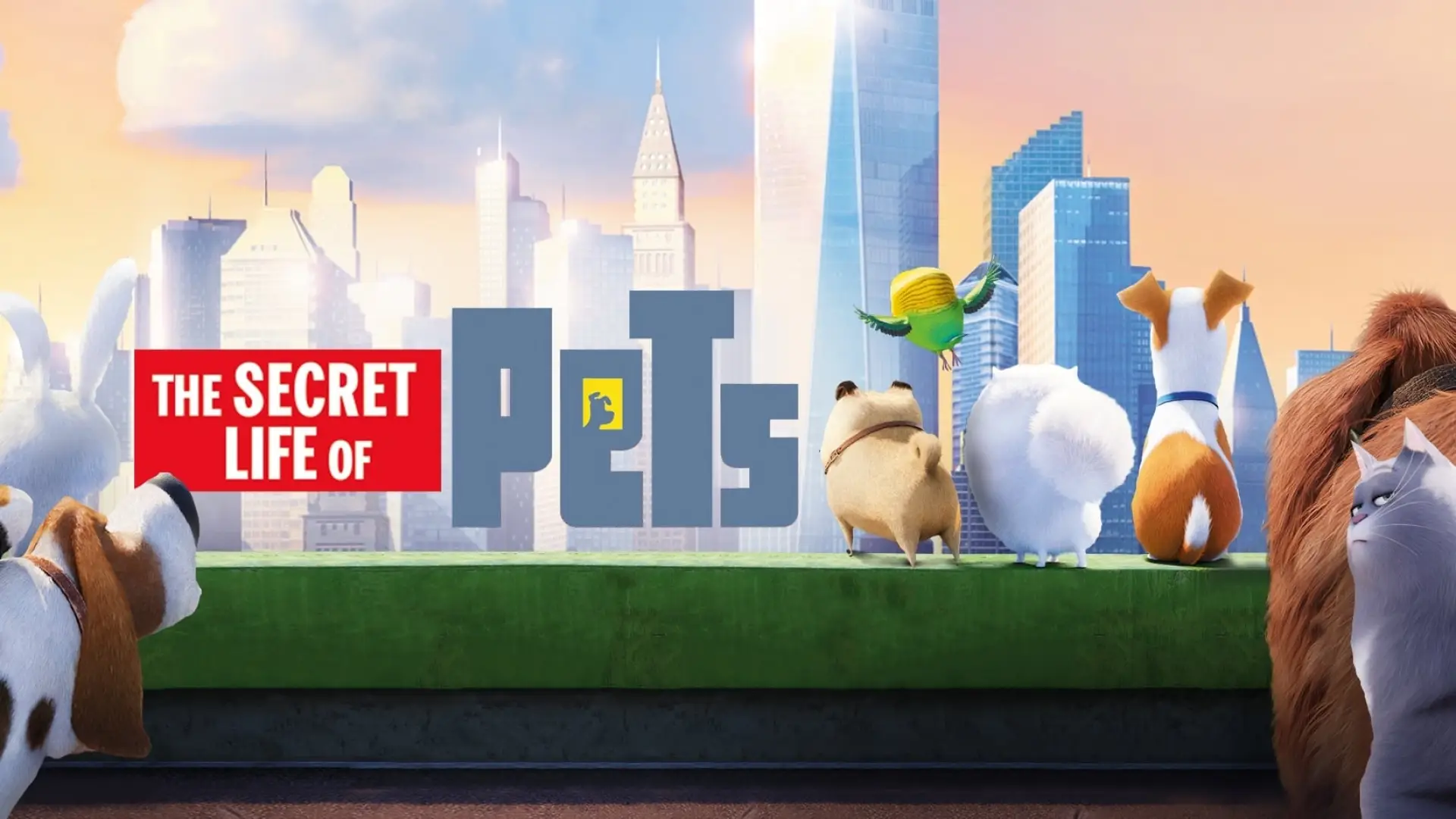 Watch film The Secret Life of Pets | The Secret Life Of Pets - Trailer #3 (HD) - Illumination