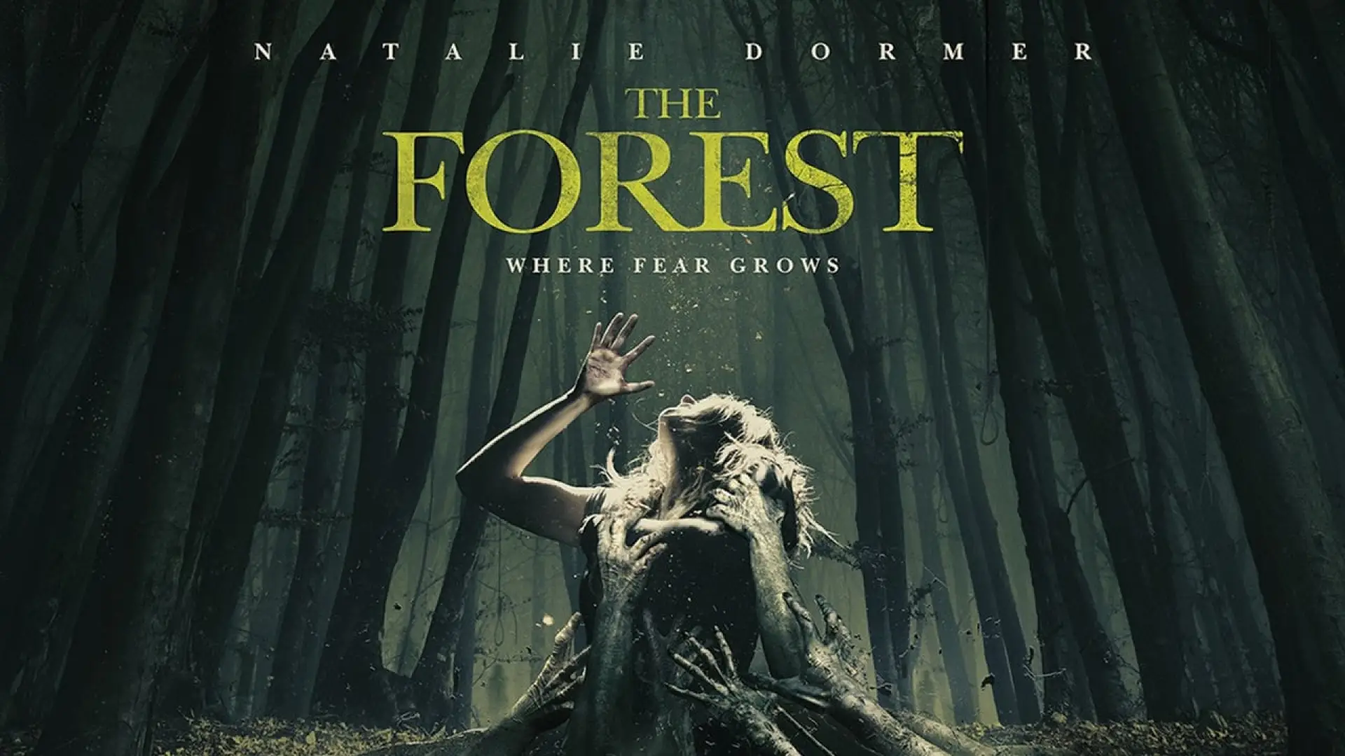 Watch film The Forest — The Forest (2016) | Official Trailer