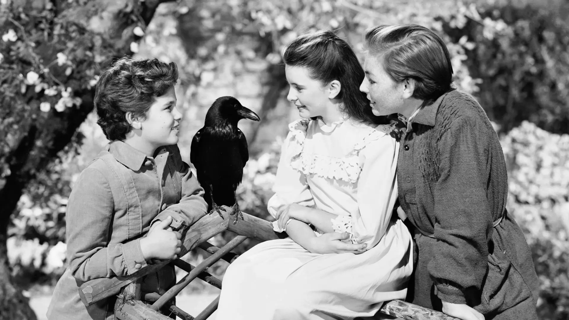 Watch film The Secret Garden | The Secret Garden (Original Theatrical Trailer)
