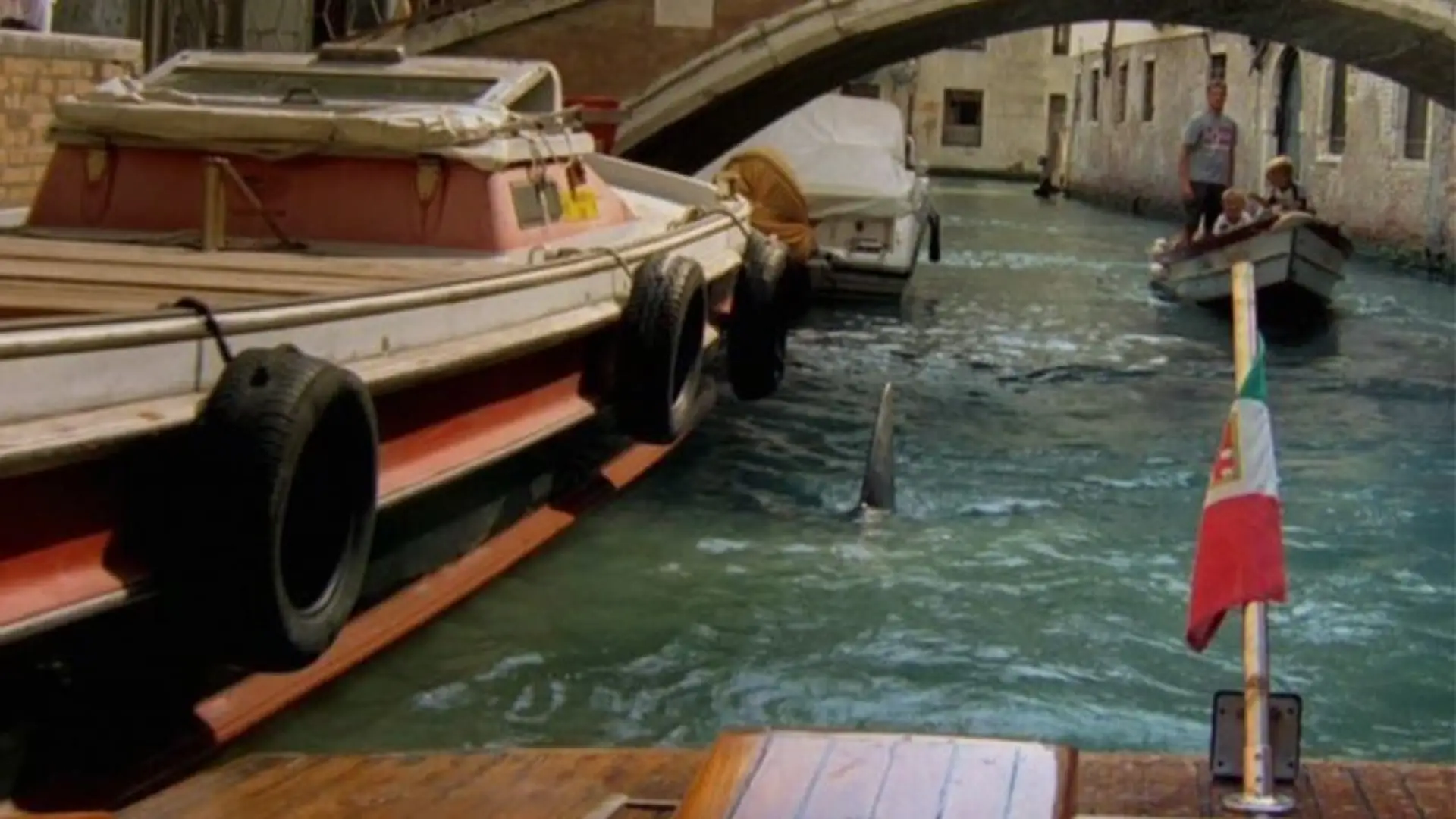 Watch film Sharks in Venice | Shark in Venice - Official Trailer