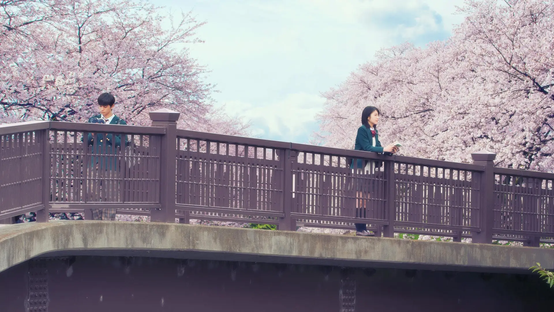 Watch film Let Me Eat Your Pancreas | 「君の膵臓をたべたい」予告
