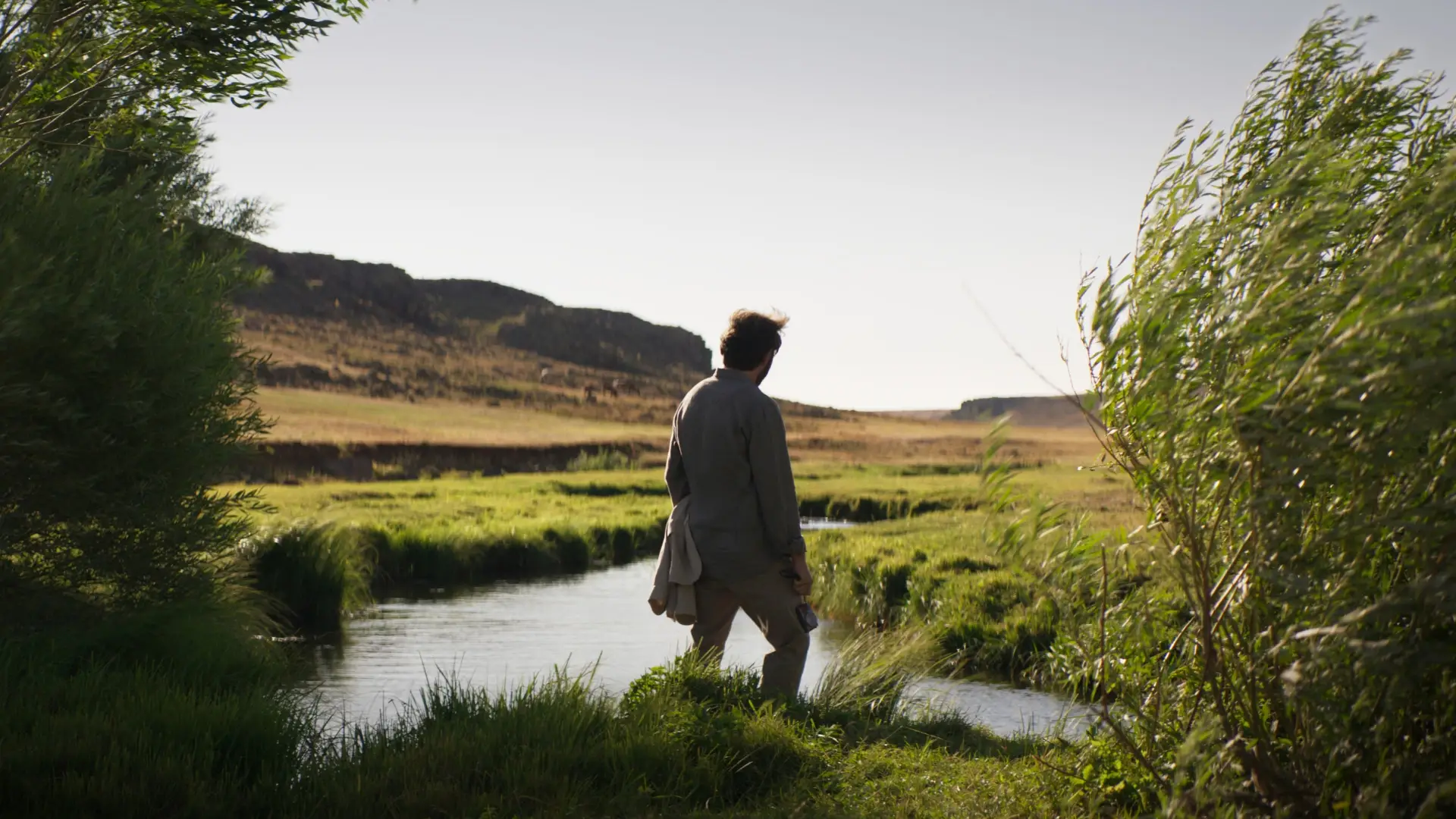 Watch film About Dry Grasses | Official US Trailer