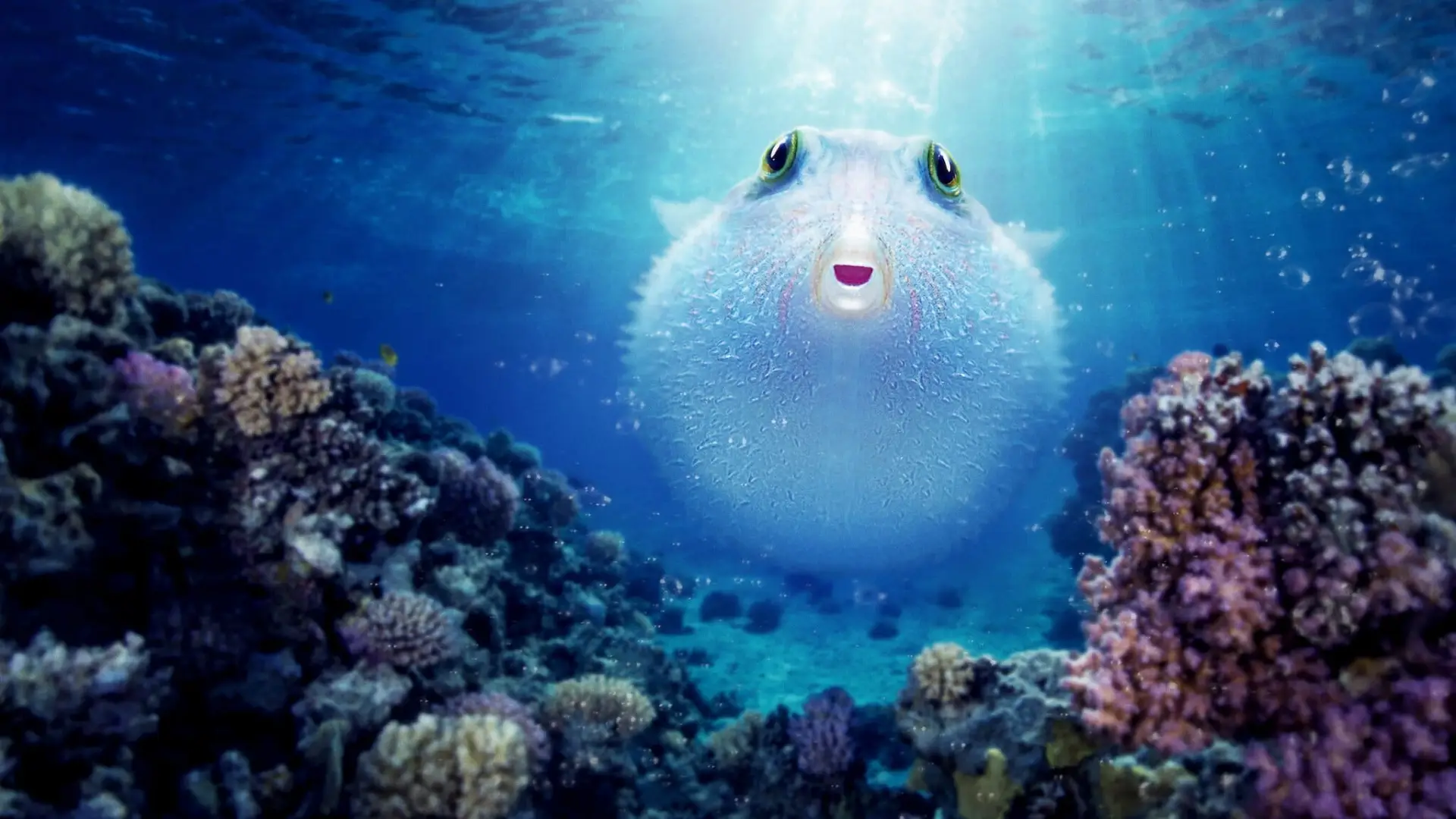 Watch film Puff: Wonders of the Reef — Puff: Wonders of the Reef | Official Trailer | Netflix