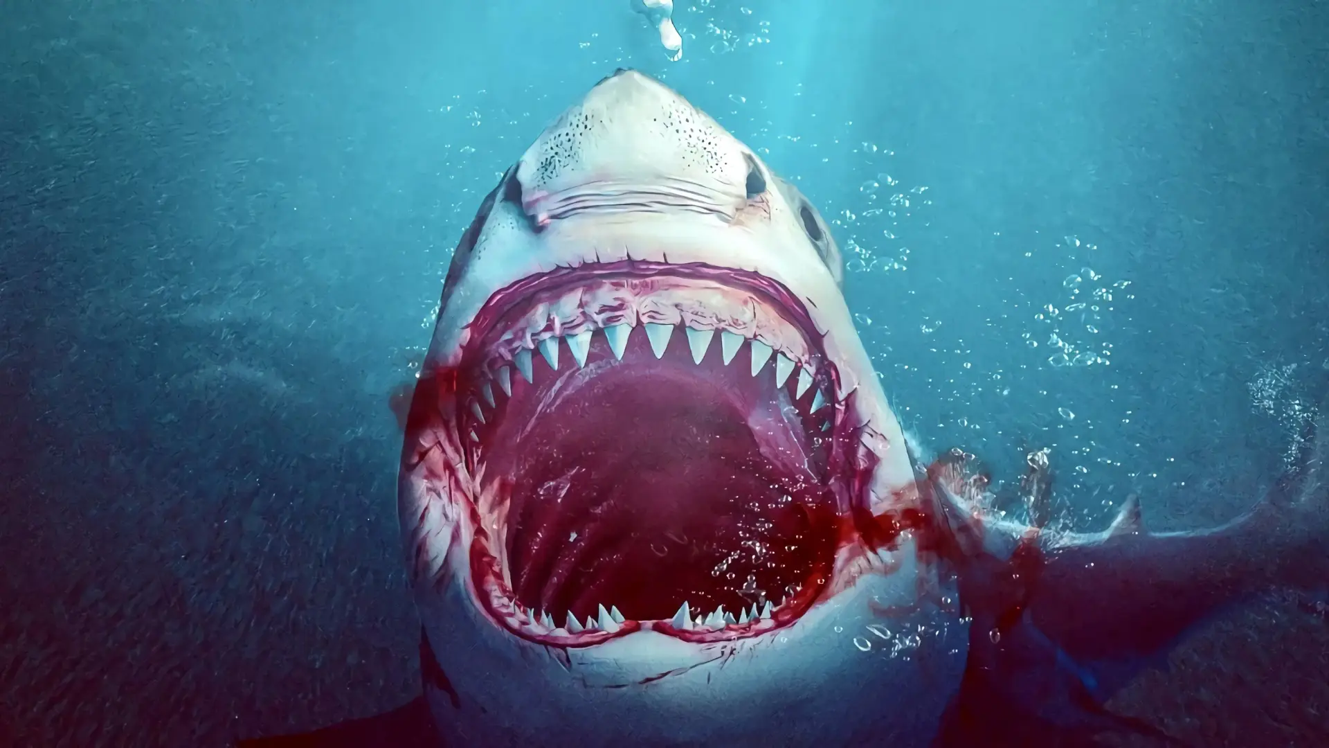 Watch film Bull Shark — BULL SHARK - WORLD PREMIERE 2022 - FULL HD ACTION MOVIE IN ENGLISH