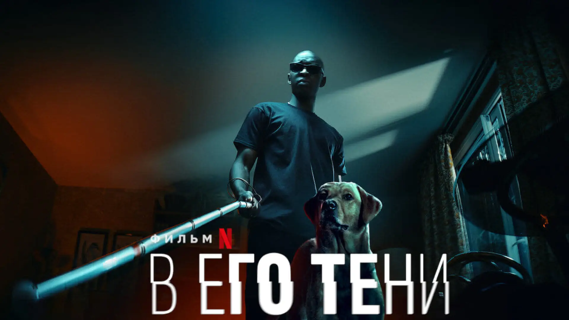 Watch film In His Shadow — In His Shadow (Le Roi des Ombres) - 2023 - Netflix Trailer - English Subtitles