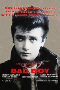 Poster to the movie "Bad Boy" #1082062