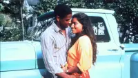 Backdrop to the movie "Mississippi Masala" #800009
