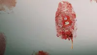 Backdrop to the movie "Trust No One: The Hunt for the Crypto King" #526127