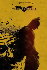 Poster to the movie "The Dark Knight" #789732