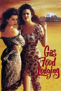 Poster to the movie "Gas Food Lodging" #969219