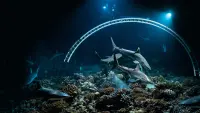 Backdrop to the movie "700 Sharks" #745666