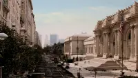 Backdrop to the movie "I Am Legend" #430680