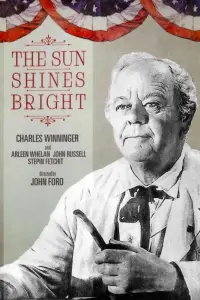 Poster to the movie "The Sun Shines Bright" #989190