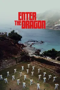 Poster to the movie "Enter the Dragon" #681467