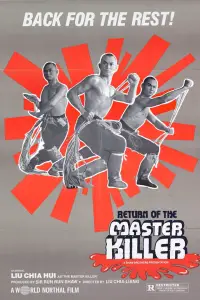 Poster to the movie "Return to the 36th Chamber" #978733