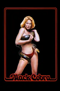 Poster to the movie "Black Eve" #1170022