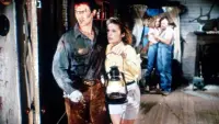 Backdrop to the movie "Evil Dead II" #741923