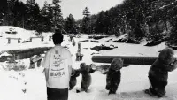 Backdrop to the movie "Hundreds of Beavers" #821630