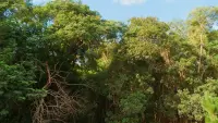 Backdrop to the movie "Ibiúna" #679502