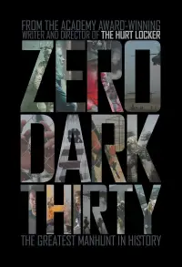 Poster to the movie "Zero Dark Thirty" #954277