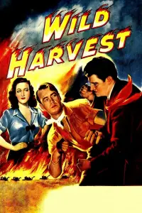 Poster to the movie "Wild Harvest" #1168827