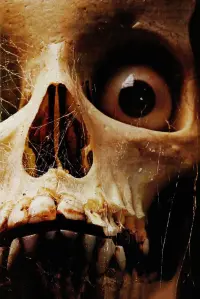 Poster to the movie "Tales from the Crypt" #714930