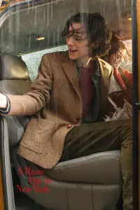 Poster to the movie "A Rainy Day in New York" #1025254