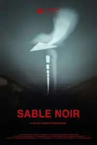 Poster to the movie "Sable noir" #634458