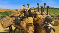 Backdrop to the movie "Shaun het schaap - Elke dag feest" #806571