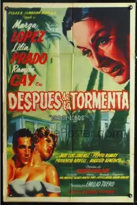 Poster to the movie "Después de la tormenta" #1153087