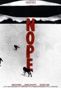 Poster to the movie "Nope" #752965